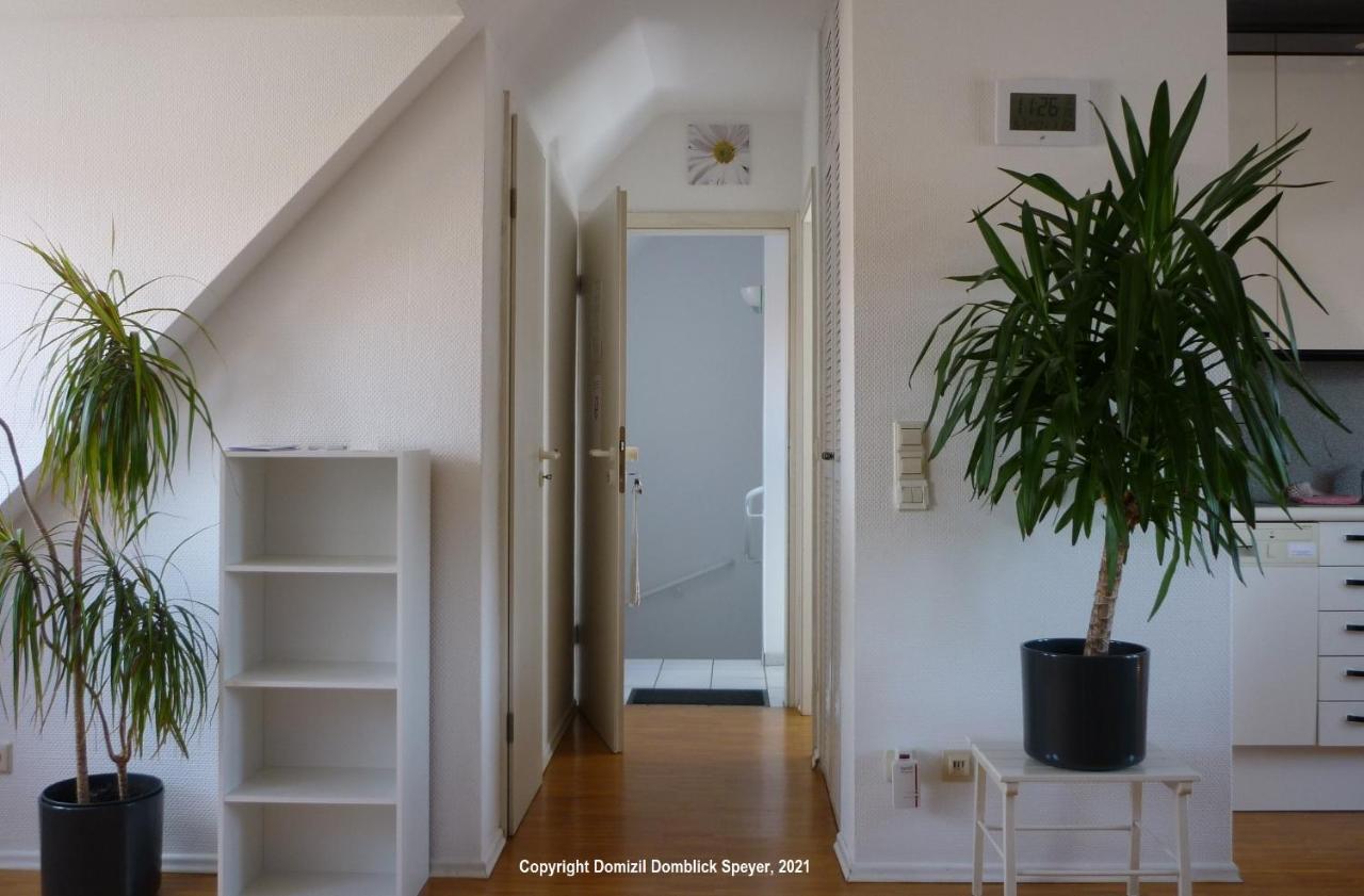 Domizil Domblick Speyer City, Garage, 50M2 외부 사진